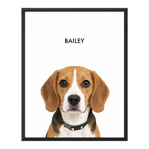 bailey_transparent.webp