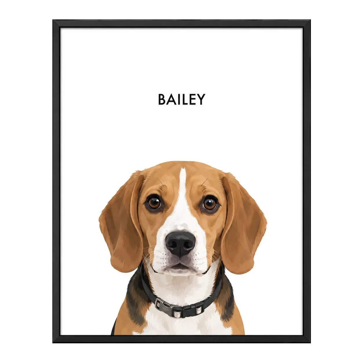 bailey_transparent.webp
