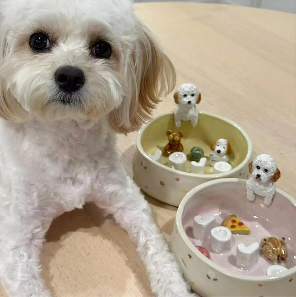 Gamelle personnalisée en céramique pour animaux – Gamelle en céramique pour chien et chat avec nom
