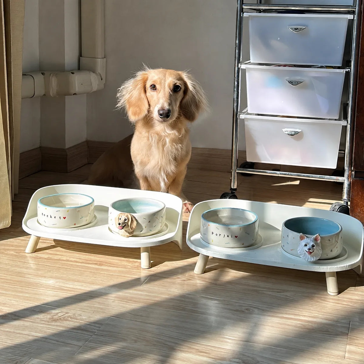 Bol en céramique personnalisé pour animaux de compagnie – Bol 3D personnalisé pour animaux de compagnie